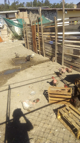 8V29+J6R, Puquío 05500