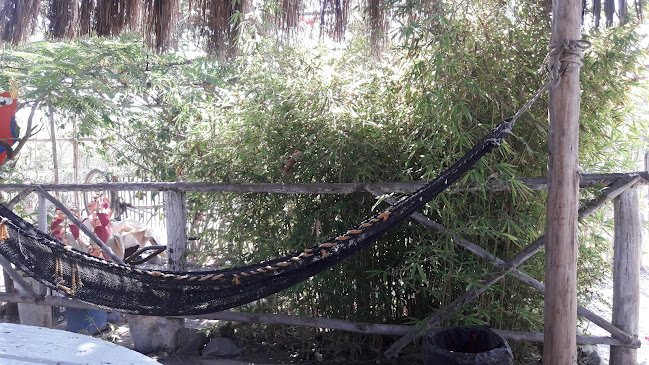 Opinii despre Ramadilla în Lunahuaná - Gastronomía y hostelería