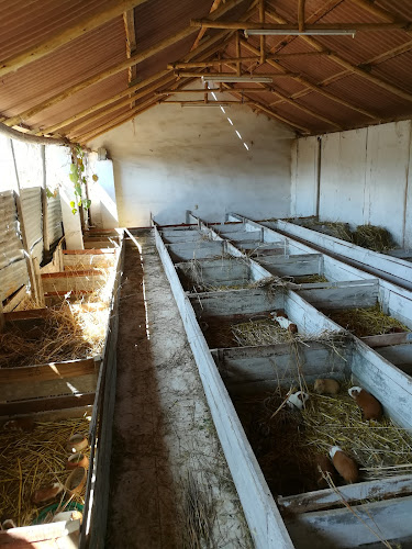 La Posada del Chalán