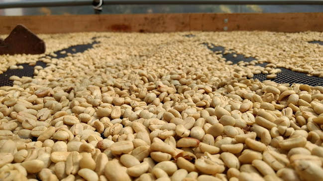 Activa Cafe - Villa Rica