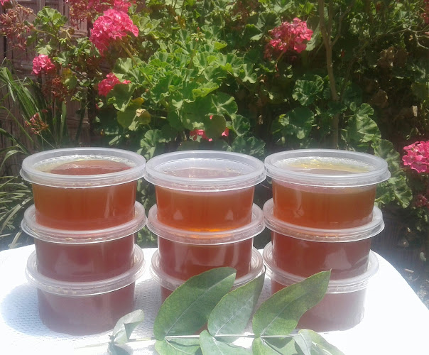 Opinii despre Restaurante El Fogón în Lunahuaná - Gastronomía y hostelería