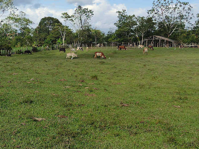 Opinii despre El Veridico De Prieto în Iquitos - Gastronomía y hostelería