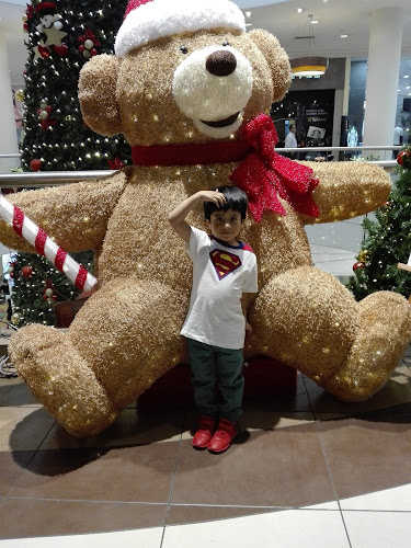 Café de la Plaza - Mall Aventura Santa Anita - Santa Anita