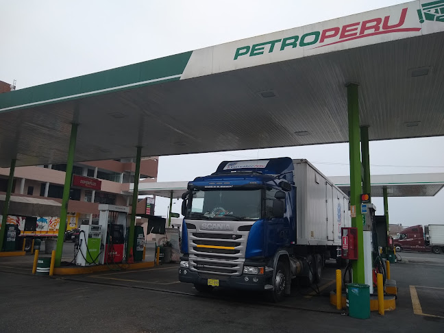 Anticucheria Las Cañitas - Pisco