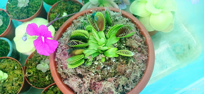 Comentarii opinii despre Tambo del Arriero