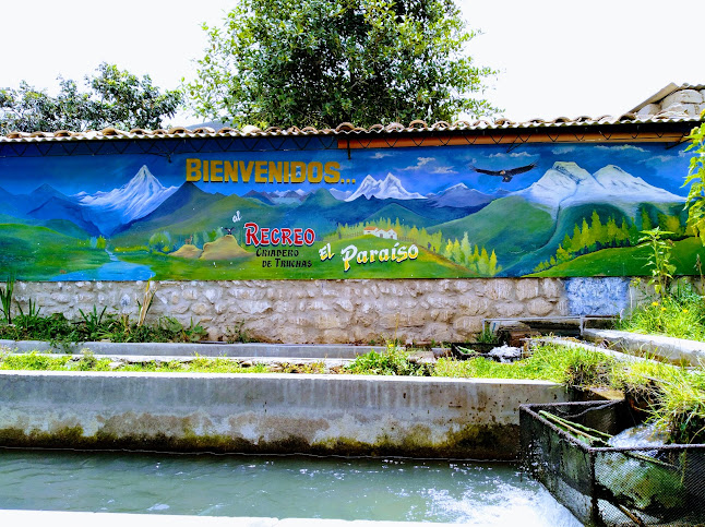 Opinii despre Recreo Criadero De Truchas " El Paraiso" în Caraz - Gastronomía y hostelería