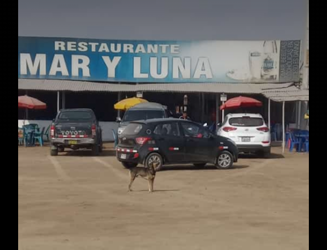 Restaurant MAR Y LUNA - Gastronomía y hostelería