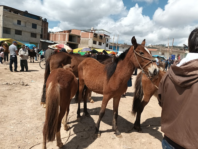 Shilicolate - Gastronomía y hostelería