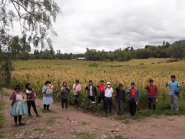 Comentarii opinii despre Acos Vinchos