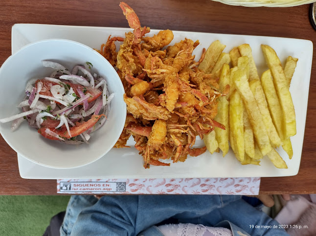 Francisco Bolognesi S/N, Yanahuara 04017