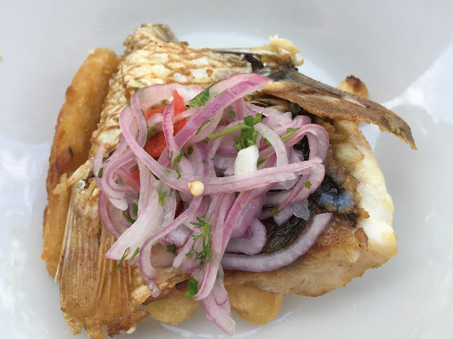 CHPH+XFH, Unnamed Road, Tumbes 24002