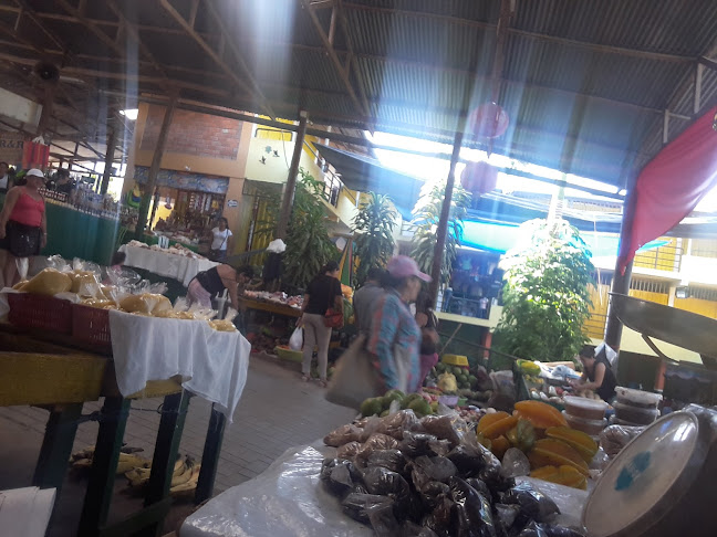 Jr. Tahuantinsuyo 931, Tarapoto 22202