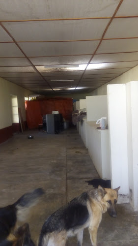 Comentarii opinii despre restaurant WALDY´S