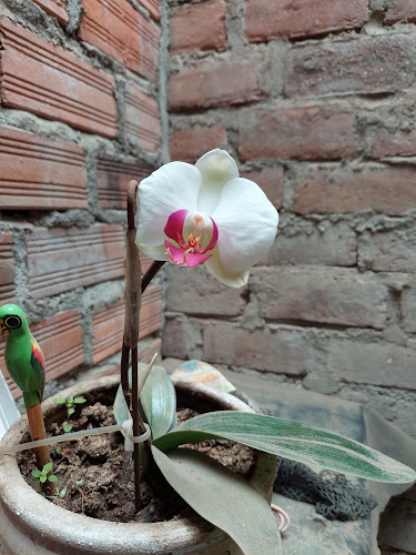 Opinii despre Mercado Minorista 2 de Mayo în El Porvenir - Gastronomía y hostelería