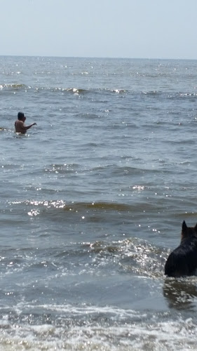 7QPJ+GM8 playa, Alfonso Ugarte, Pisco 11601