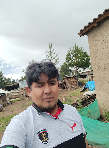 Opinii despre Restaurante "El sabor del tiempo " în Ayacucho - Gastronomía y hostelería