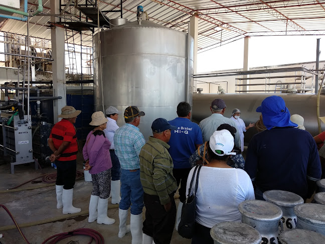 Asentamiento E3 Eriazo E2-E3, Majes 04111