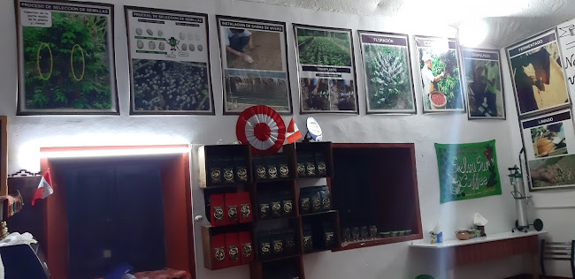 Selva Sur Café - Gastronomía y hostelería