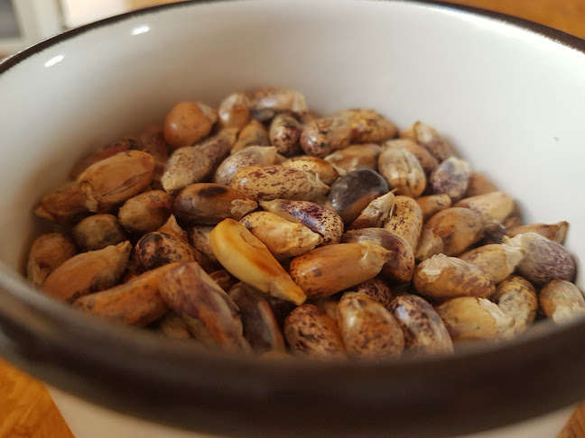 Un Cebichito Tacna - Gastronomía y hostelería