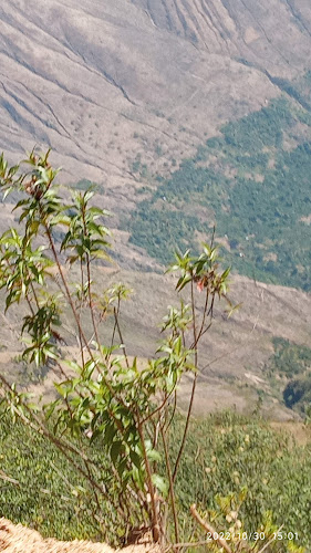 Restaurant Casa Grande - Gastronomía y hostelería