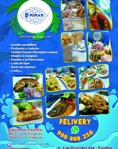Dmimar Barra Cevichera Criolla. - Pucallpa
