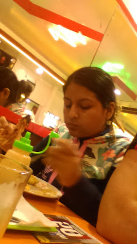 Av. Panamericana Nte. 311, Barranca 15169