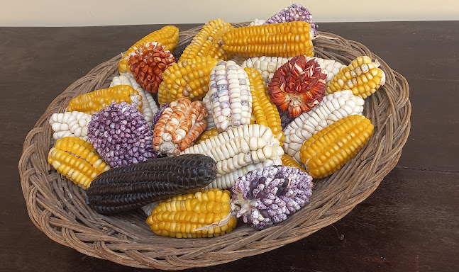 Calle Mariscal sucre 104, Pitumarca 08234