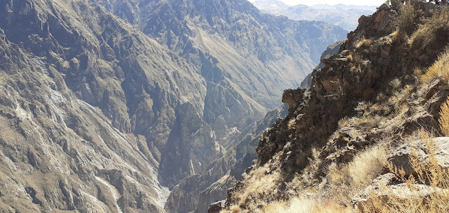 Comentarii opinii despre La Rosa De Altamirano