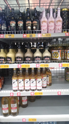 Comentarii opinii despre Restaurant El Paladar