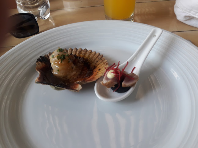 Comentarii opinii despre Amoramar