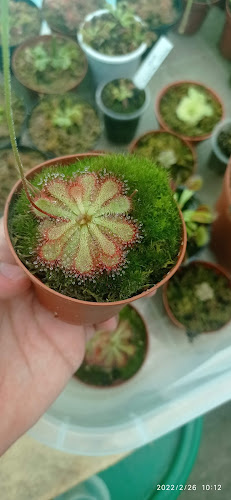 Tambo del Arriero - Ayacucho