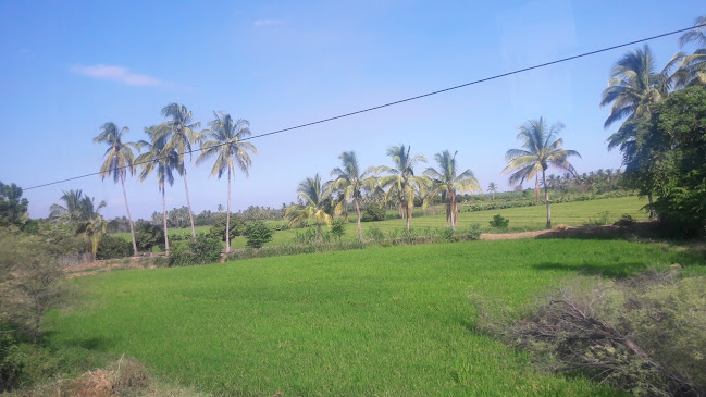 Rinconsito Sullanero - Gastronomía y hostelería