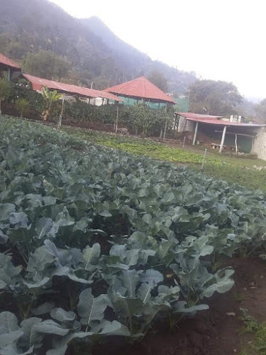 Centro Recreacional Ecologico "Campo Verde" - Gastronomía y hostelería
