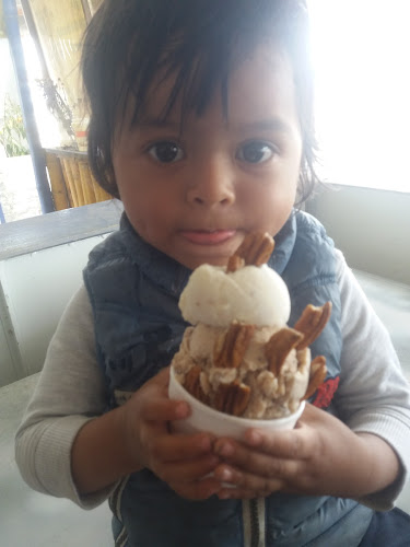 Helados artesanales D'Karito - Gastronomía y hostelería