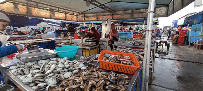 Nuevo Terminal Pesquero - Víctor Larco Herrera