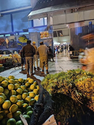 Comentarii opinii despre Terminal Pesquero VMT