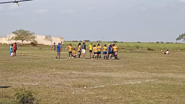 Comentarii opinii despre Frigorífico Bom Gosto