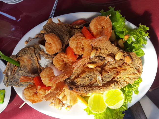 Mundo Marino Campestre