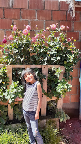 QUINTA CAMPESTRE ACKLLUYO - Espinar