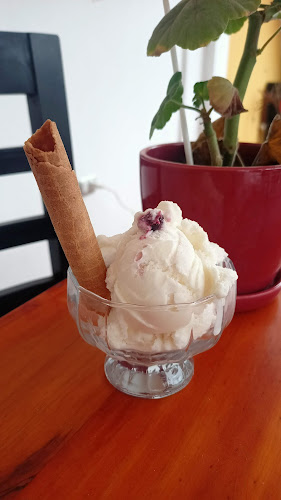 Comentarii opinii despre Helados Artesanales Señor Trol's