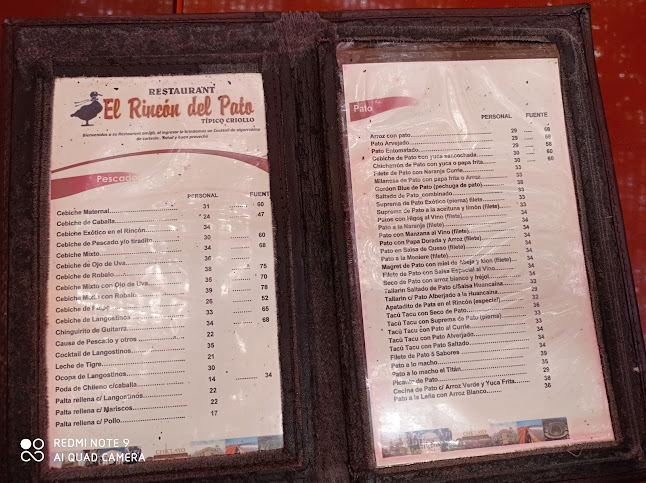 Comentarii opinii despre El Rincon del Pato