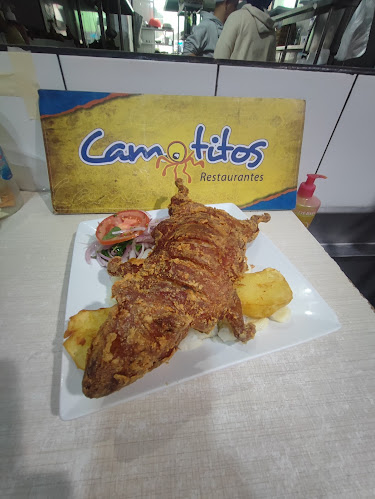 Jr. 28 de Julio, Camaná 04451