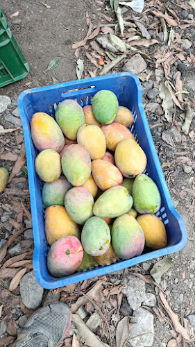 Comentarii opinii despre Campo Ferial Ilo