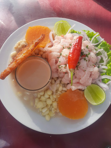 Mundo Marino Campestre - Pimentel