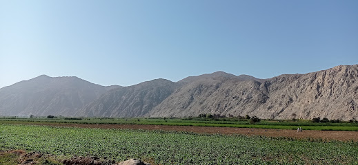 Rest. El algarrobo de Tayca