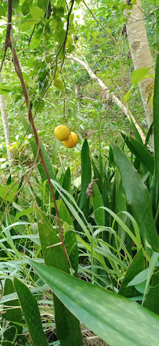 Comentarii opinii despre San Cristóbal