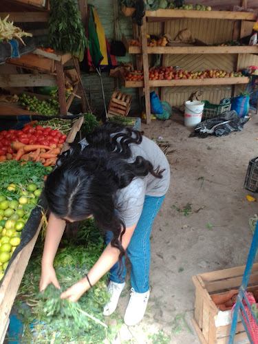 Mercado Olivar - Lima