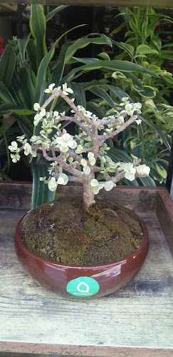 Manuel María Izaga 322, Chiclayo 14001