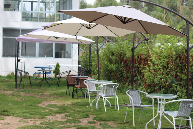 Valor Natural berries y miel