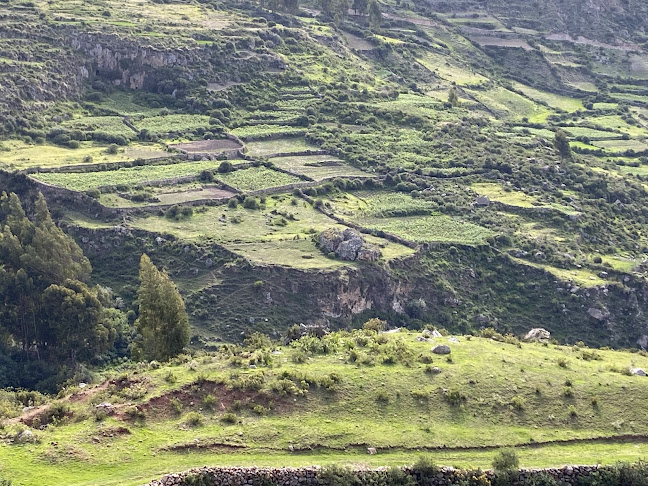 Restaurante De Juana - Gastronomía y hostelería